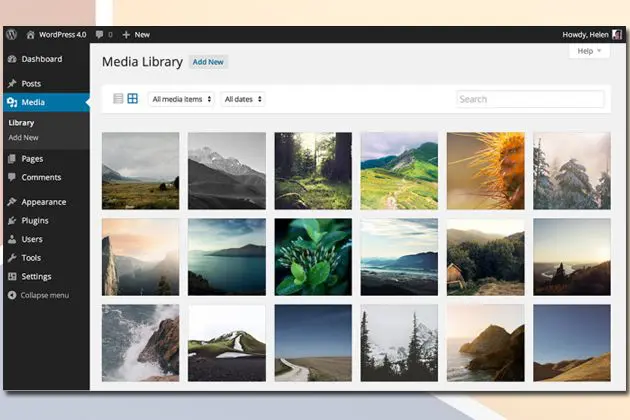 “30 procent van de websites draait op WordPress”