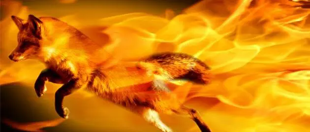 mozilla firefox