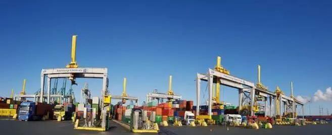 DP World Antwerp BT backbone