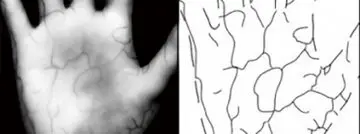 Microsoft en Fujitsu lanceren handpalmdetectie als nieuwe inlogmethode