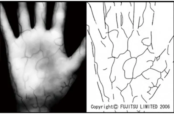 Microsoft en Fujitsu lanceren handpalmdetectie als nieuwe inlogmethode