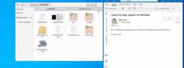Windows Linux
