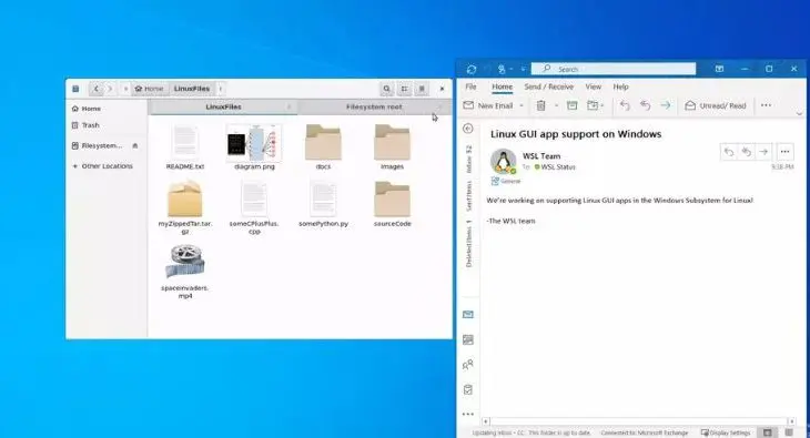 Windows Linux