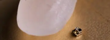 computer rijst