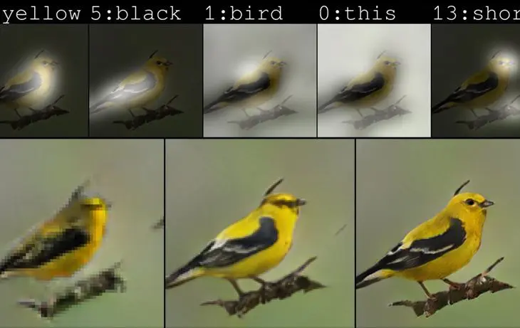 Nieuwe AI van Microsoft maakt van korte omschrijving een vogel