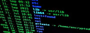 Array