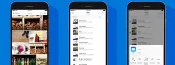 OneDrive introduceert mobiel delen van scans en notities
