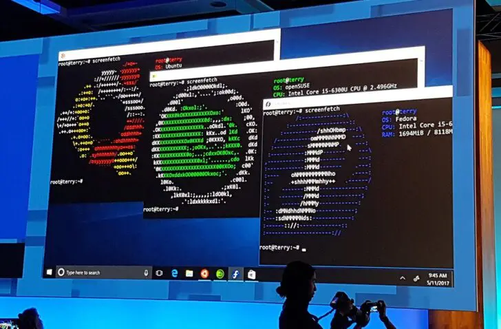 linux-windows10