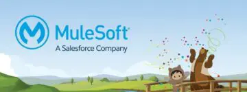 Wat is Mulesoft? Waarom is het 6,5 miljard dollar waard?