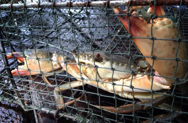 Decryptietool die ransomware GandCrab neutraliseert vrijgegeven