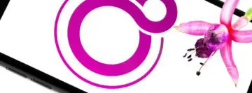 Google Fuchsia