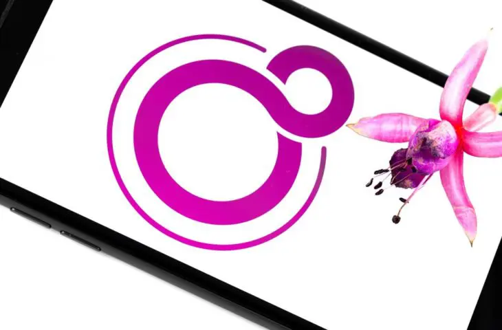 Google Fuchsia