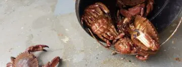 Criminelen achter GrandCrab-ransomware gaan rentenieren op miljoenenwinst