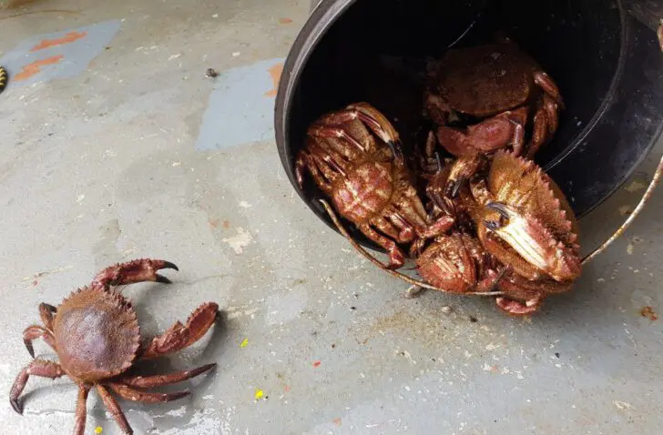 Criminelen achter GrandCrab-ransomware gaan rentenieren op miljoenenwinst