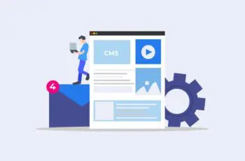 wordpress cms
