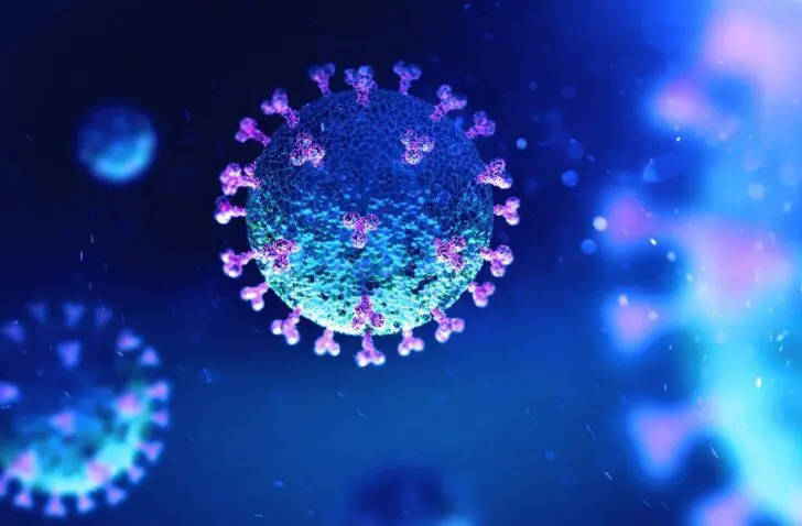 coronavirus