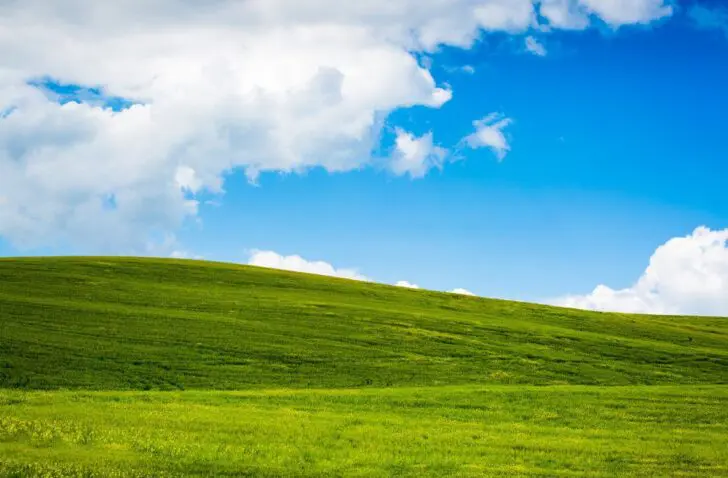 32 procent bedrijven gebruikt nog Windows XP