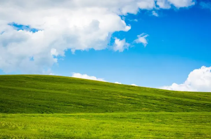 32 procent bedrijven gebruikt nog Windows XP