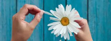 Innovatie en de Vlaming: een haat-liefde-relatie