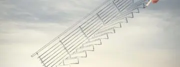 start-up scale-up
