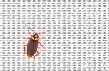 software bug