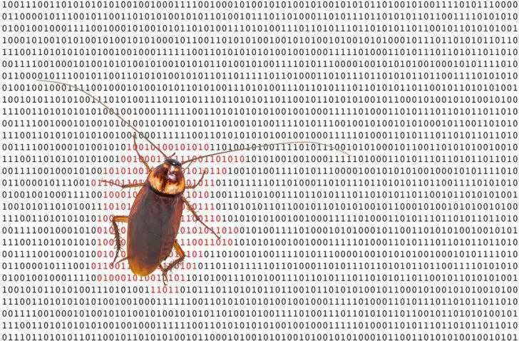 software bug