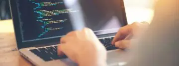 developer