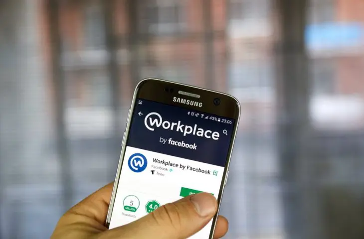 Aan de slag met Workplace van Facebook: iets voor jouw bedrijf?