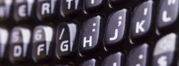 blackberry