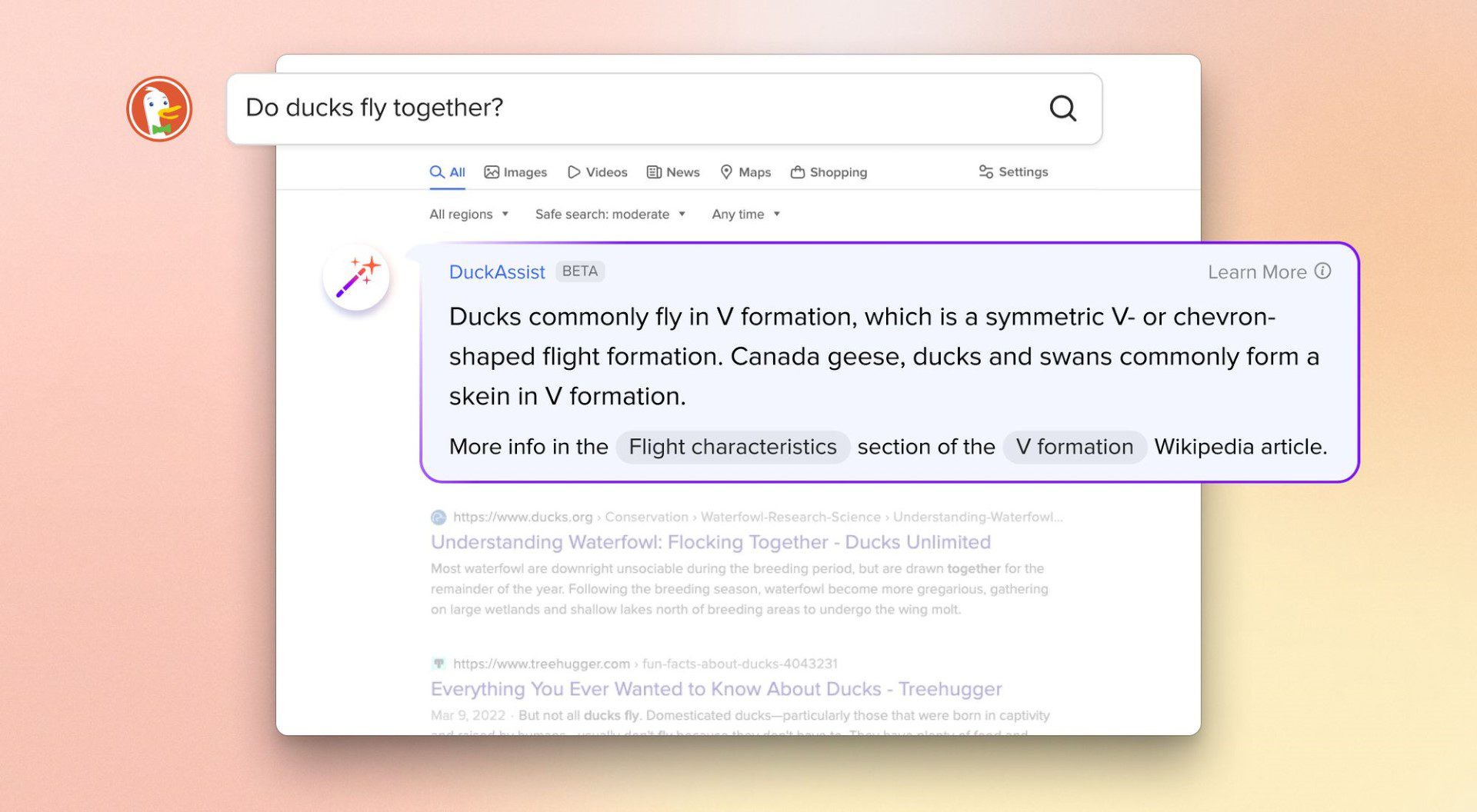 DuckDuckGo campiona i risultati di ricerca generati dall’intelligenza artificiale