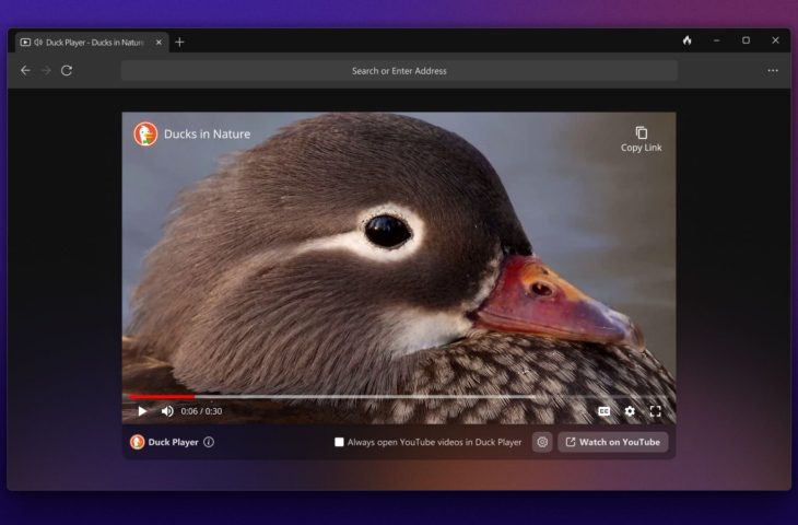 duckduckgo browser for windows