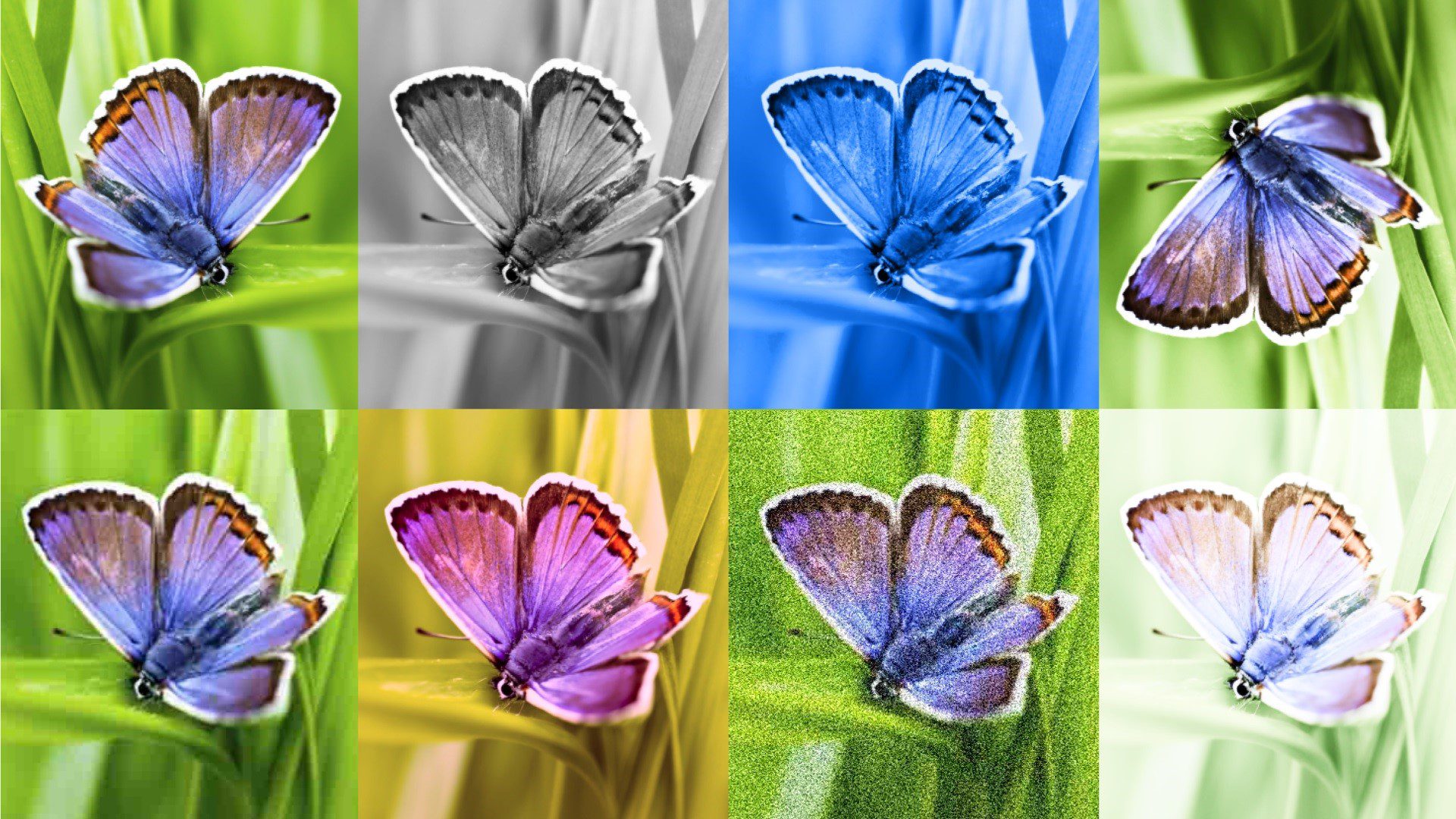 Identify AI images with Google’s new (invisible) watermark