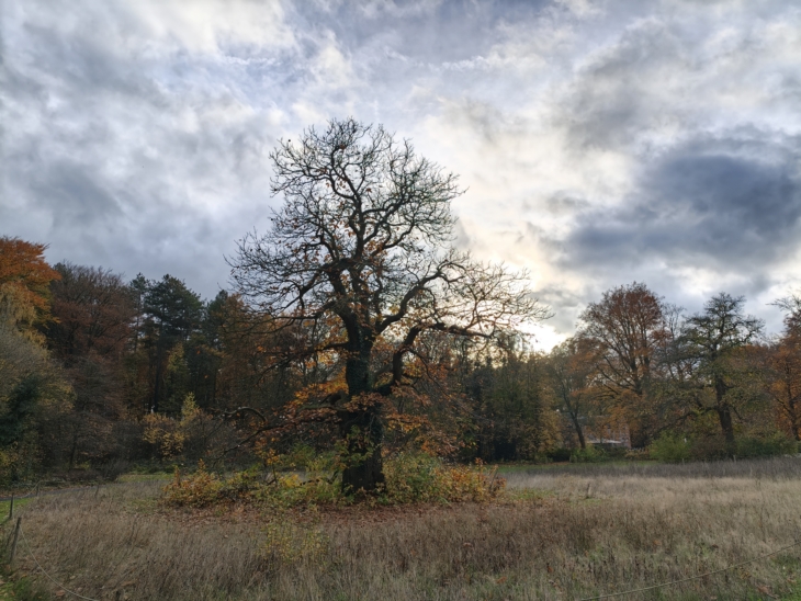 oplus_1048576 Oppo-Find-X9-Pro-bos