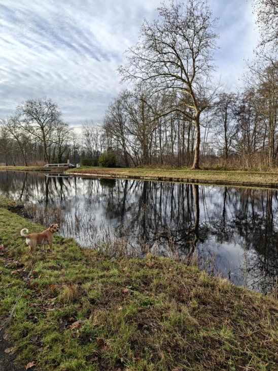 oneplus-15r-overdag-reflectie