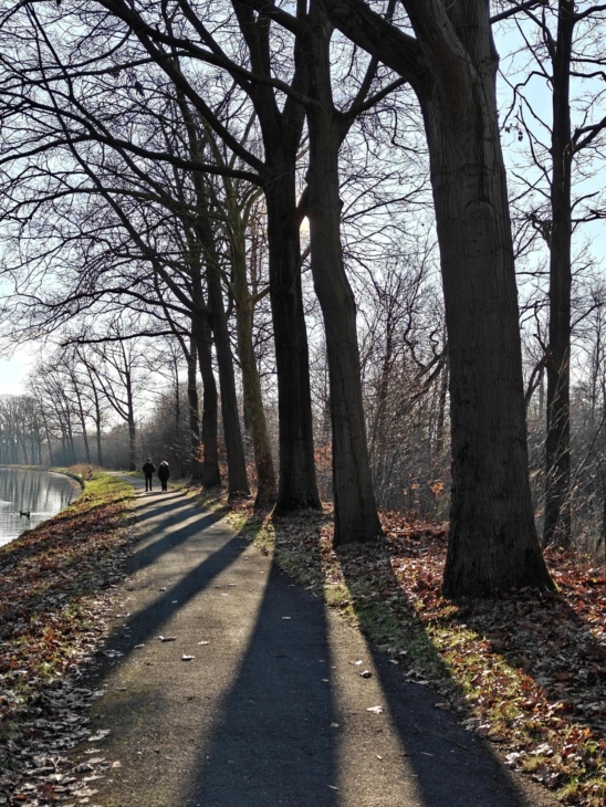 oneplus-15r-schaduwen-2