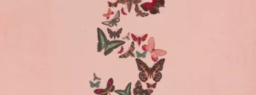 Anthropic past beperkingen Claude Fable 5 al aan