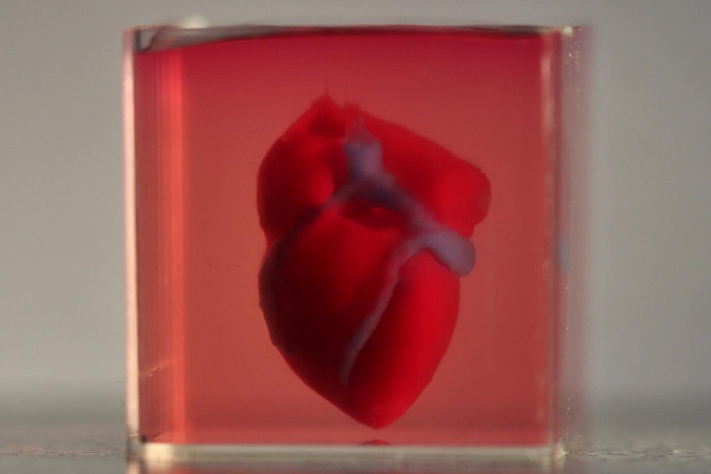 3D-geprint hart
