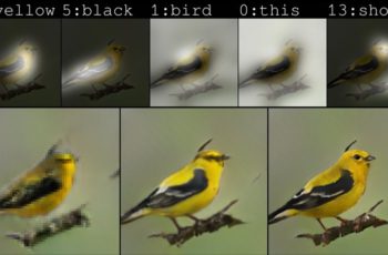 Nieuwe AI van Microsoft maakt van korte omschrijving een vogel
