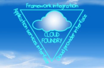 Cloud Foundry moet navigeren op wild water